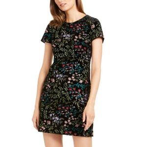 Calvin Klein Velvet Sheath Dress